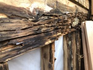 Damaged and decaying wood
