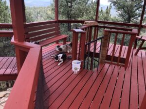 Pets resting on the deck’s red wooden floorboards